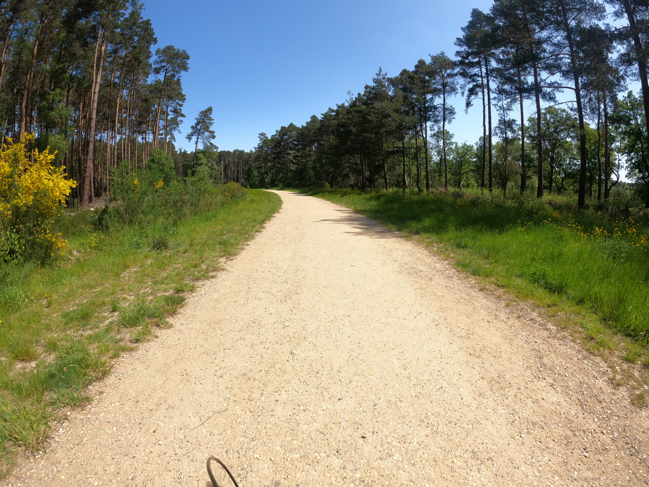 Crowthorne Buckler's Forest Bracknell Forest Public Health Portal