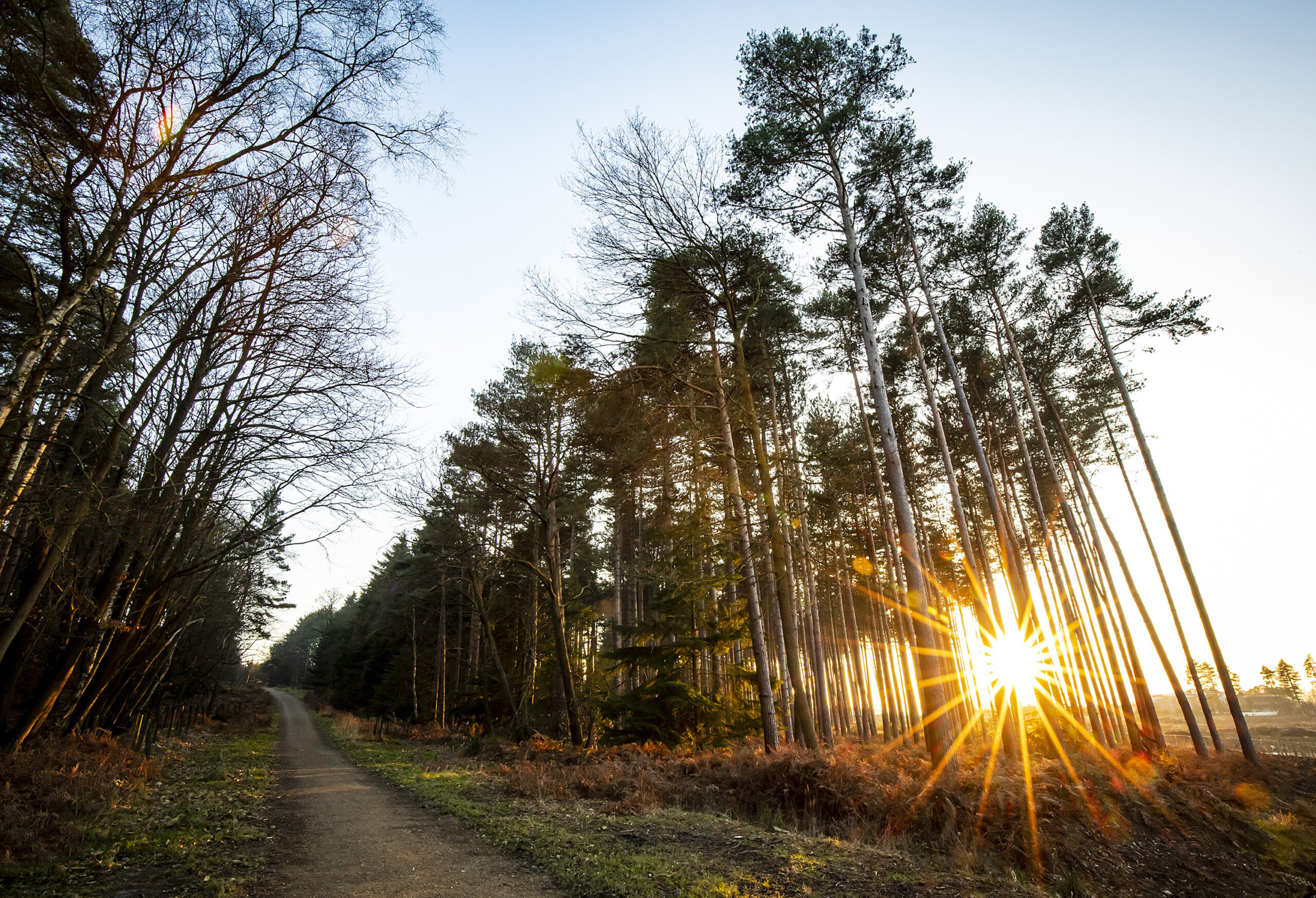 Walks for Wellbeing timetable Public Health Portal Bracknell Forest